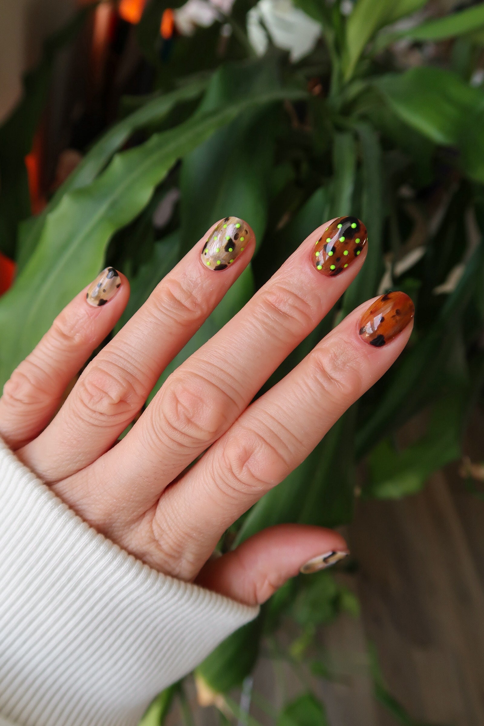 How to Create Tortie Nails with JimmyGel Sheer Shades