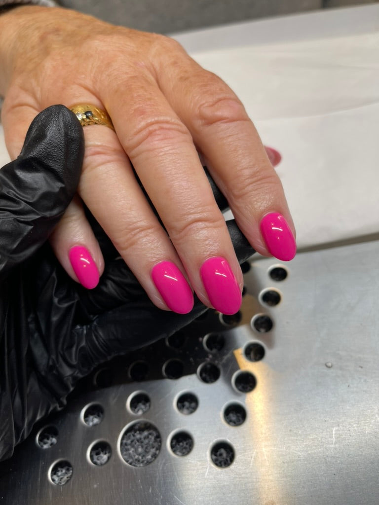 True Love P+ Gel Polish