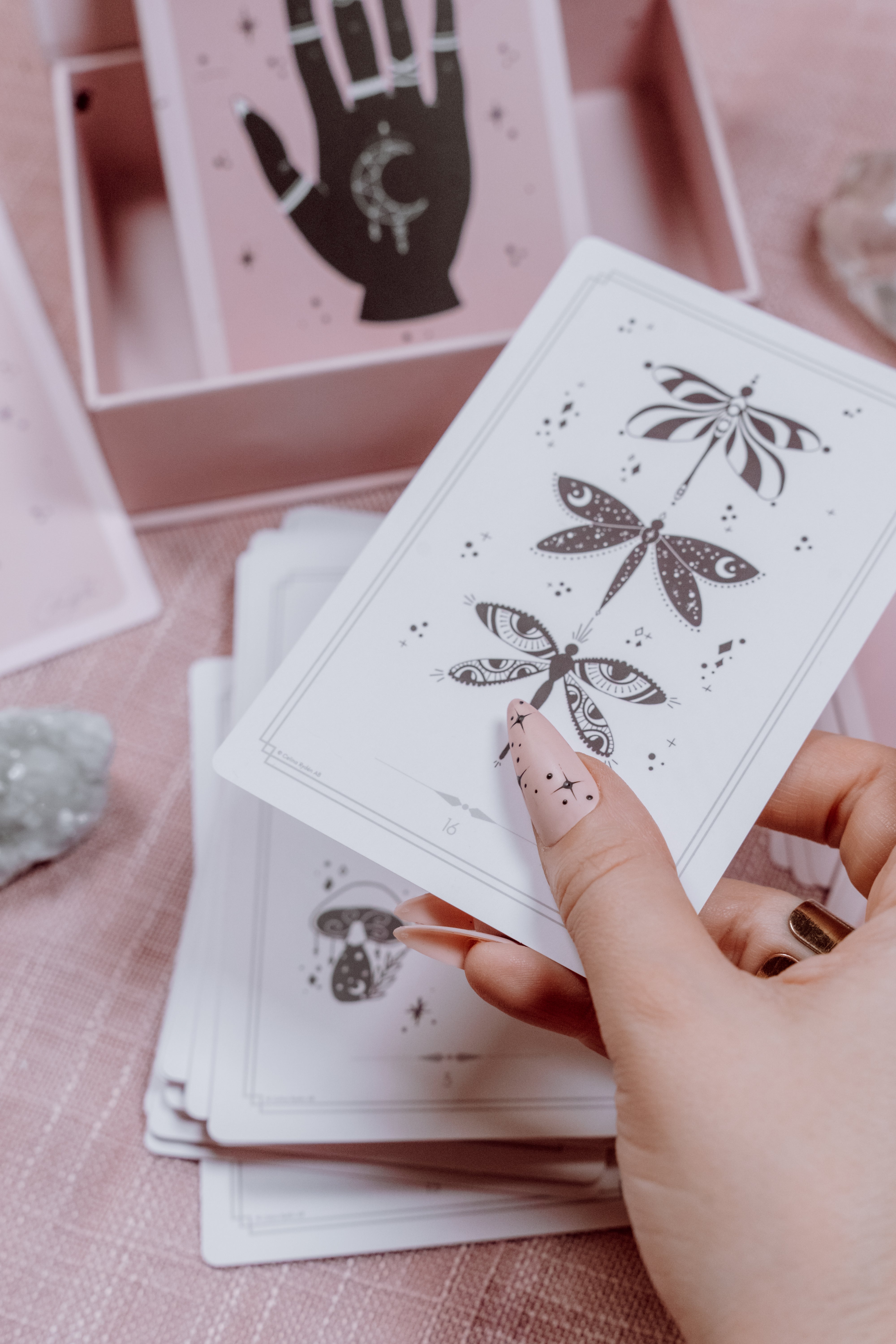 Nail Cards Bundle