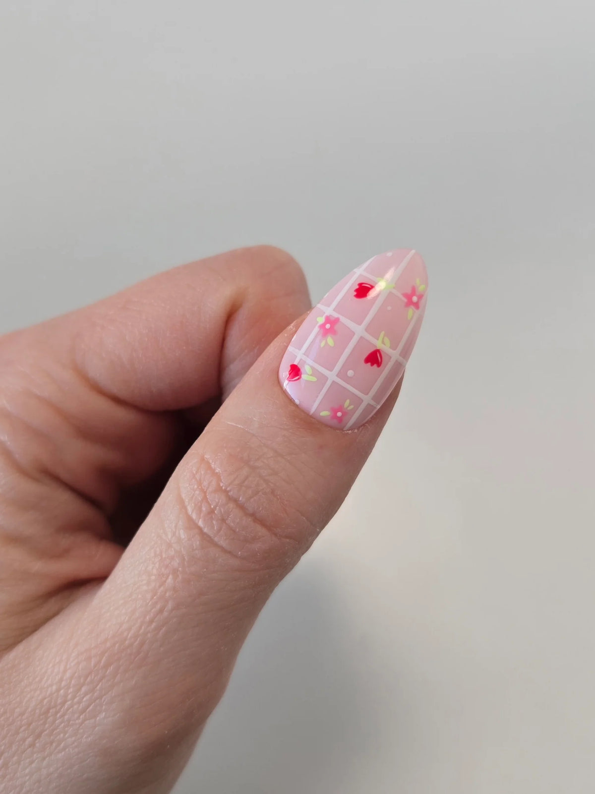 Whimsical Whiskers ButterCream Colour Gel